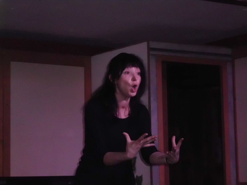 Elisabeth Karrer Kabarett Auftritt im Bistro zum Trdler am 25.03.2011