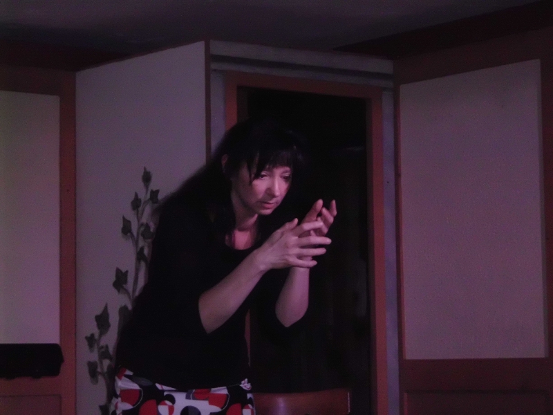 Elisabeth Karrer Kabarett Auftritt im Bistro zum Trdler am 25.03.2011