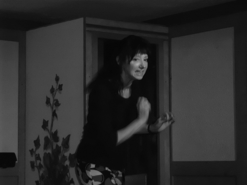 Elisabeth Karrer Kabarett Auftritt im Bistro zum Trdler am 25.03.2011