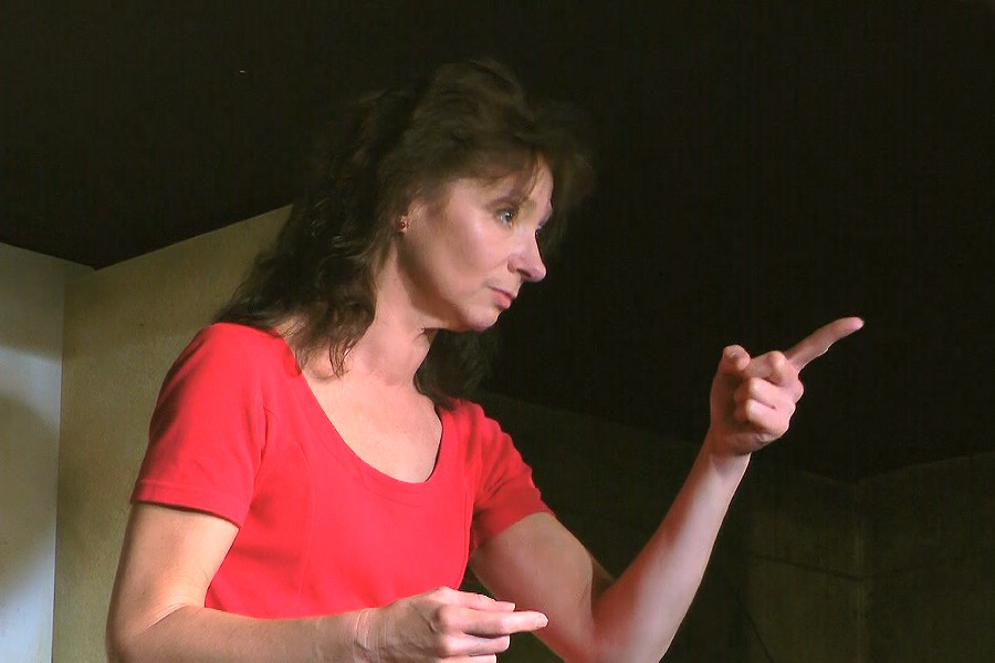 Elisabeth Karrer Kabarett Auftritt im Frhlich's Wirtshaus am 13.09.2013