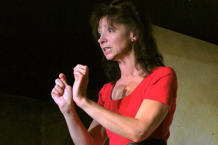 Elisabeth Karrer Kabarett Auftritt im Frhlich's Wirtshaus am 13.09.2013